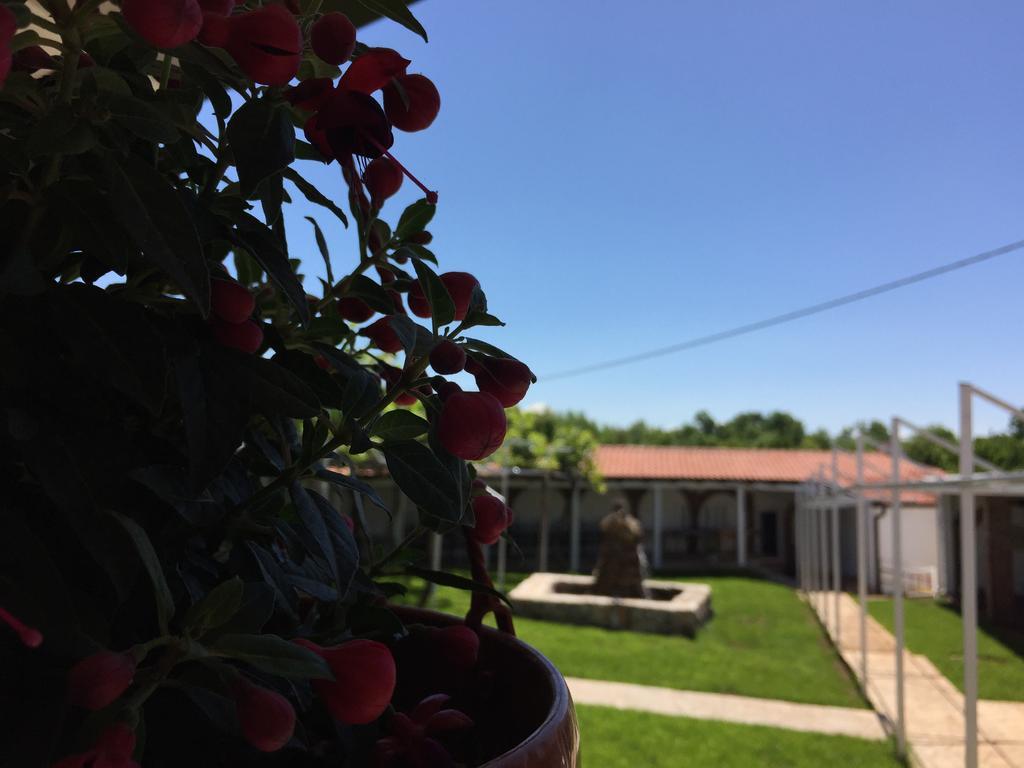 Motel Kiwi Grude Dış mekan fotoğraf